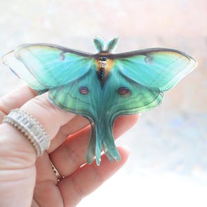 Silk luna moth hair clips with 3d wings lightweight hair accessories for women and girl gift