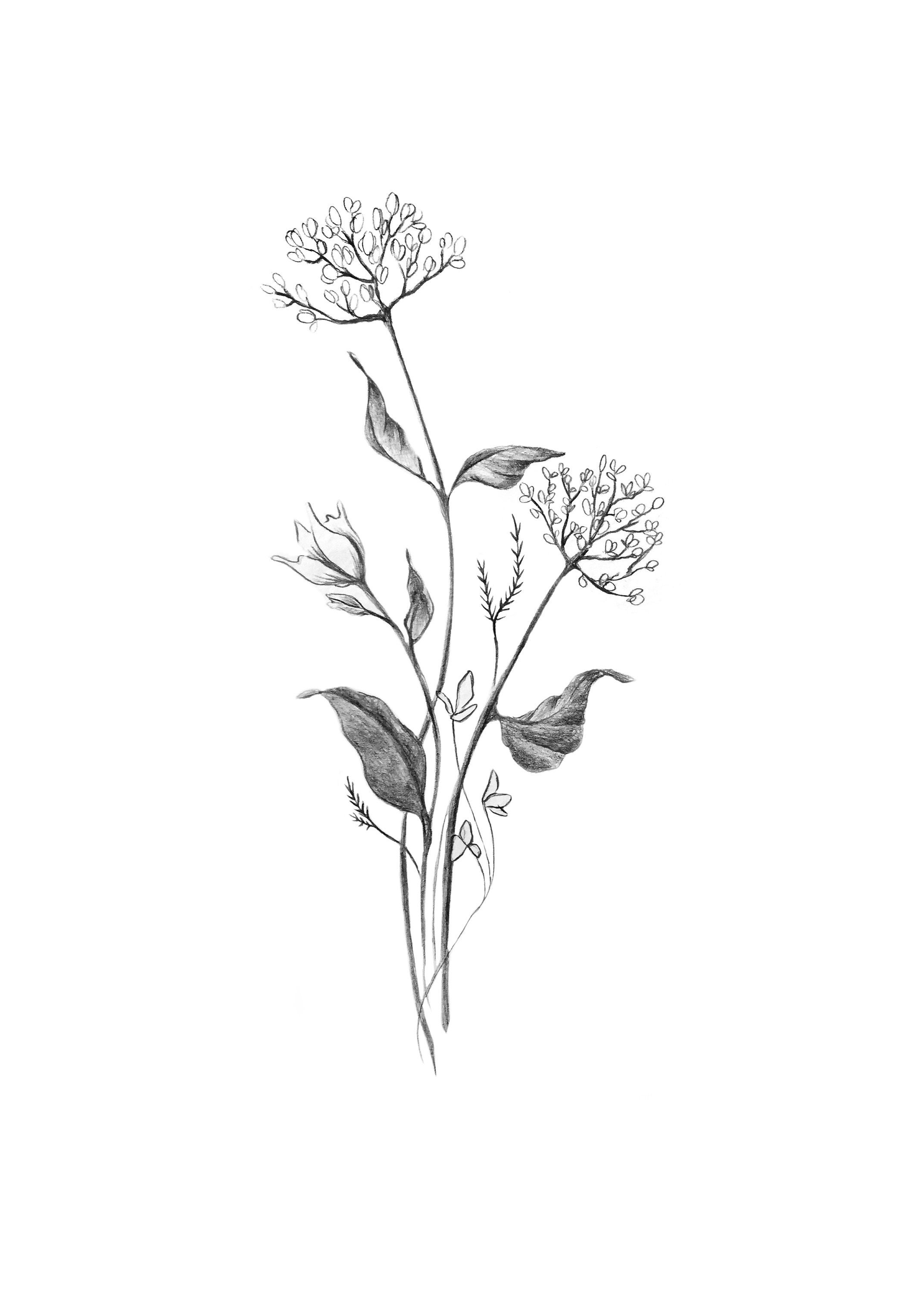 Botanical Spring Flower Bouquet Modern Minimal Drawing of Etsy