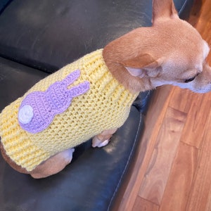 May include: A small dog wearing a yellow crocheted sweater with a purple bunny applique. The sweater has a white button on the bunny's tail.