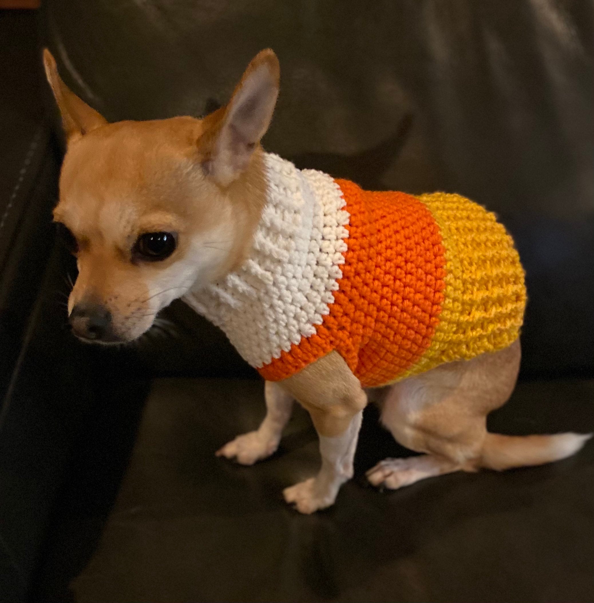candy corn dog sweater
