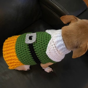 May include: A small dog wearing a green, yellow, and white crocheted sweater with a black belt. The sweater has a gray crocheted buckle.