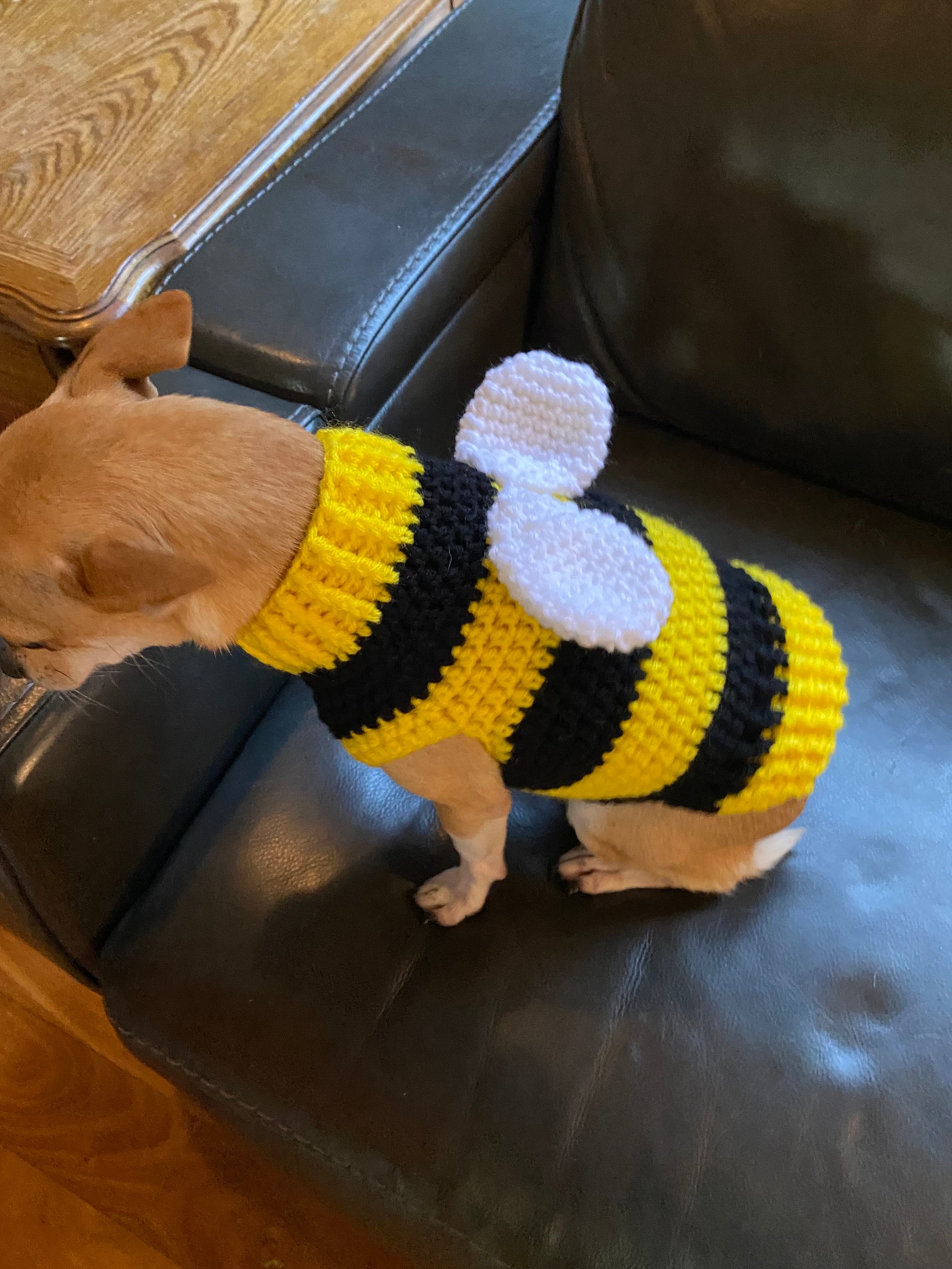 Bumble bee dog sweater hotsell