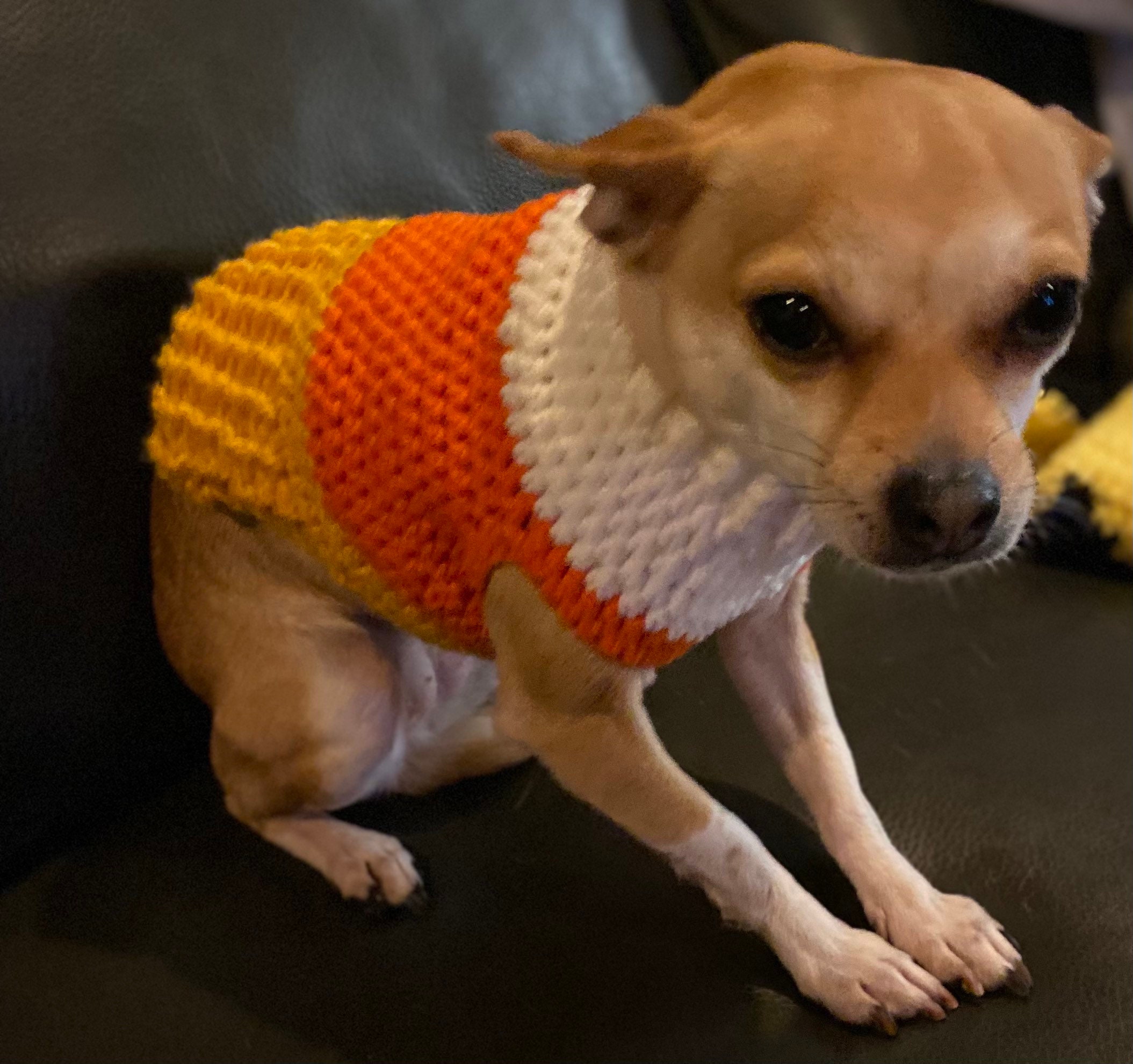 Candy Corn Dog Sweater Size Available in 4 Sizes Etsy
