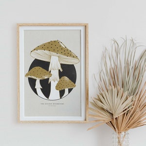 Printable wall art, Downloadable art prints, Mushroom wall art, Fungi Wall Art, Fungi Print, Living room wall decor Printable Fungi Wall Art