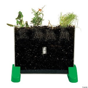 Kit de plantador para ver crescer para crianças - mães - professores