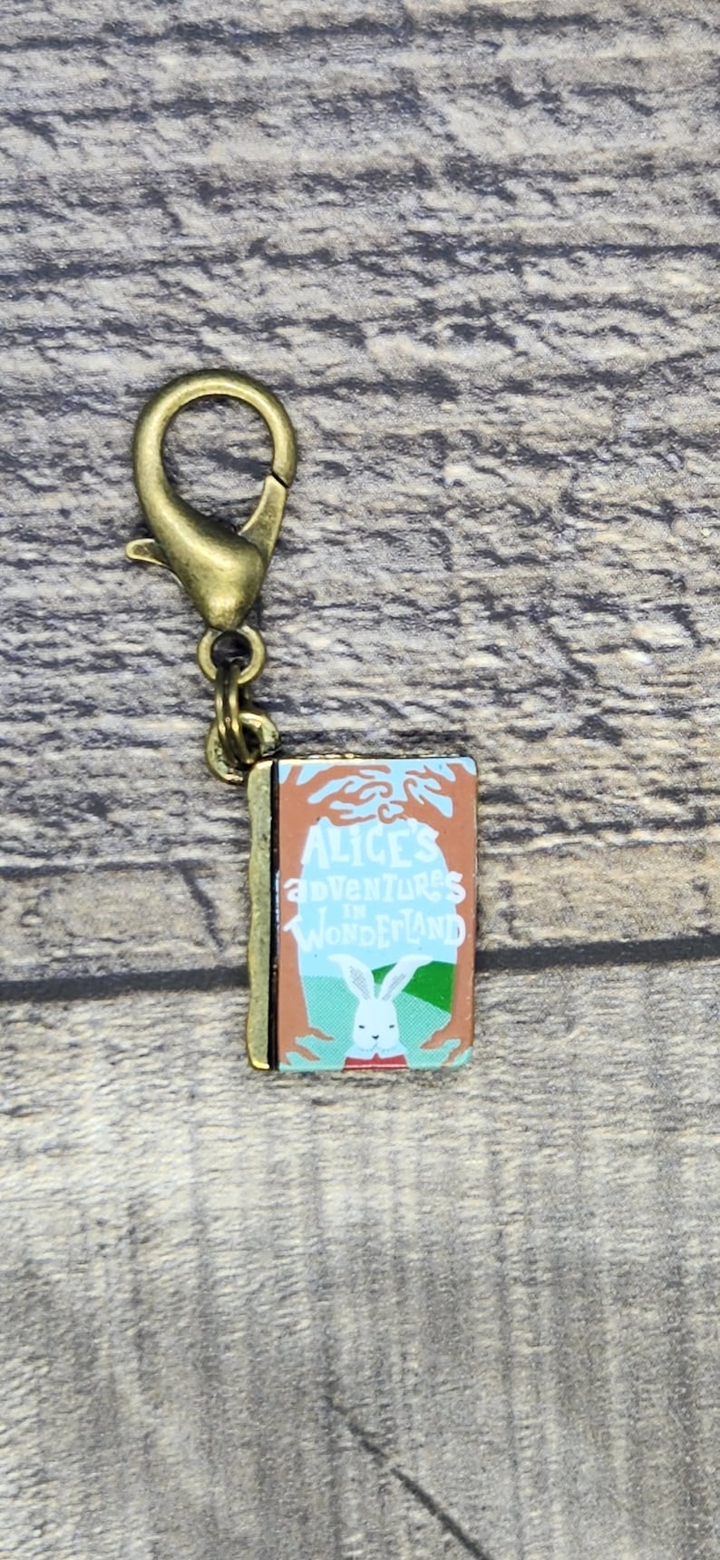 Metal Classic Book Zipper Pull Charms Alice's Adventures