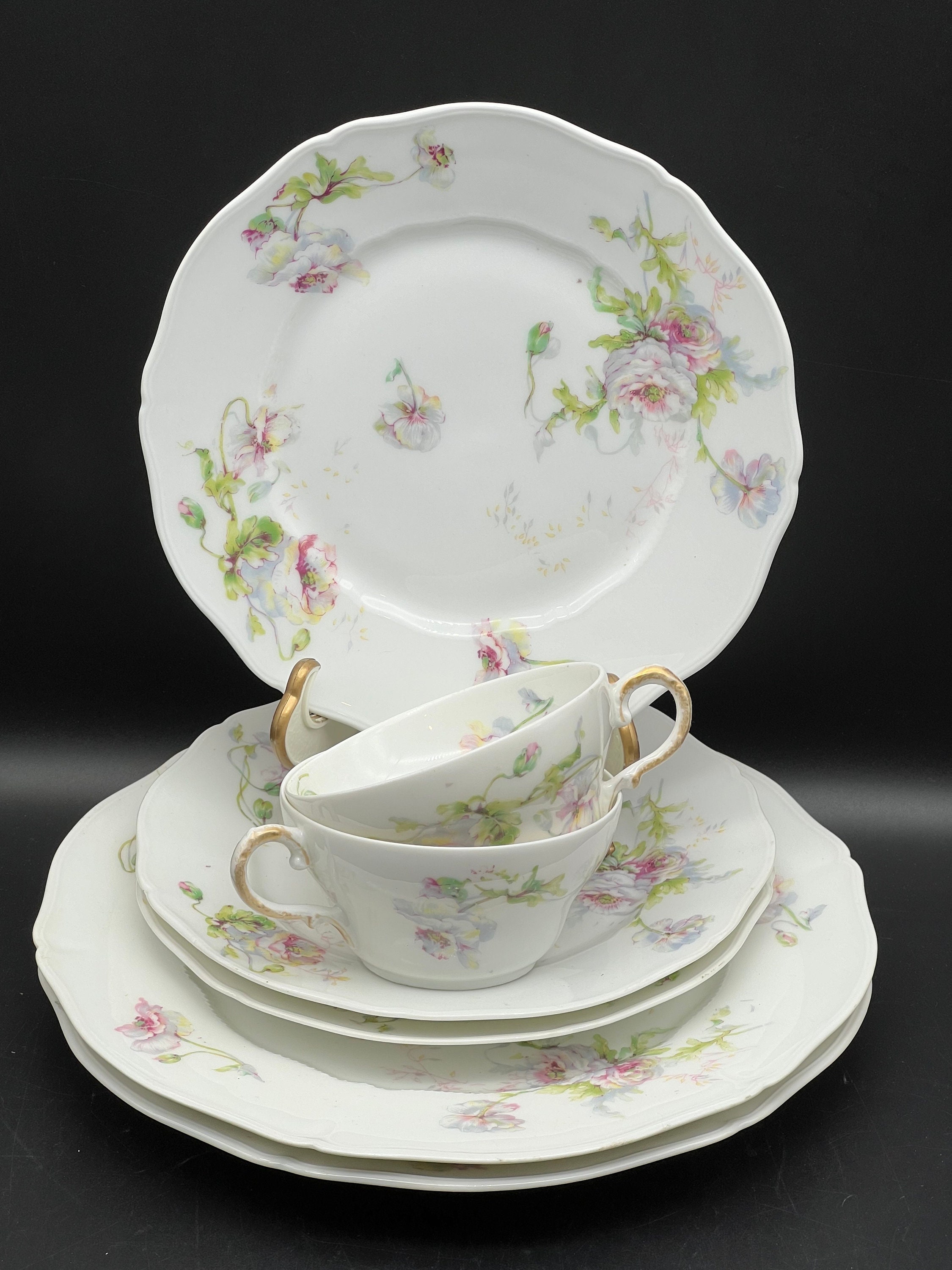 Rare Theodore Haviland Limoges France Roses Schleiger 607 Two