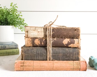 Antique Book Bundle Set; Deconstructed Decorative Book Set; Book Stack Decor; Antique Cookbook, Fashion, Facts, Home Remedies