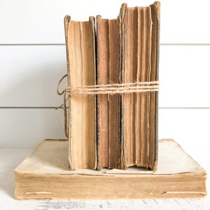 Antique Book Bundle Set; Deconstructed Decorative Book Set; Book Stack Decor; Antique Cookbook, Fashion, Facts, Home Remedies image 7