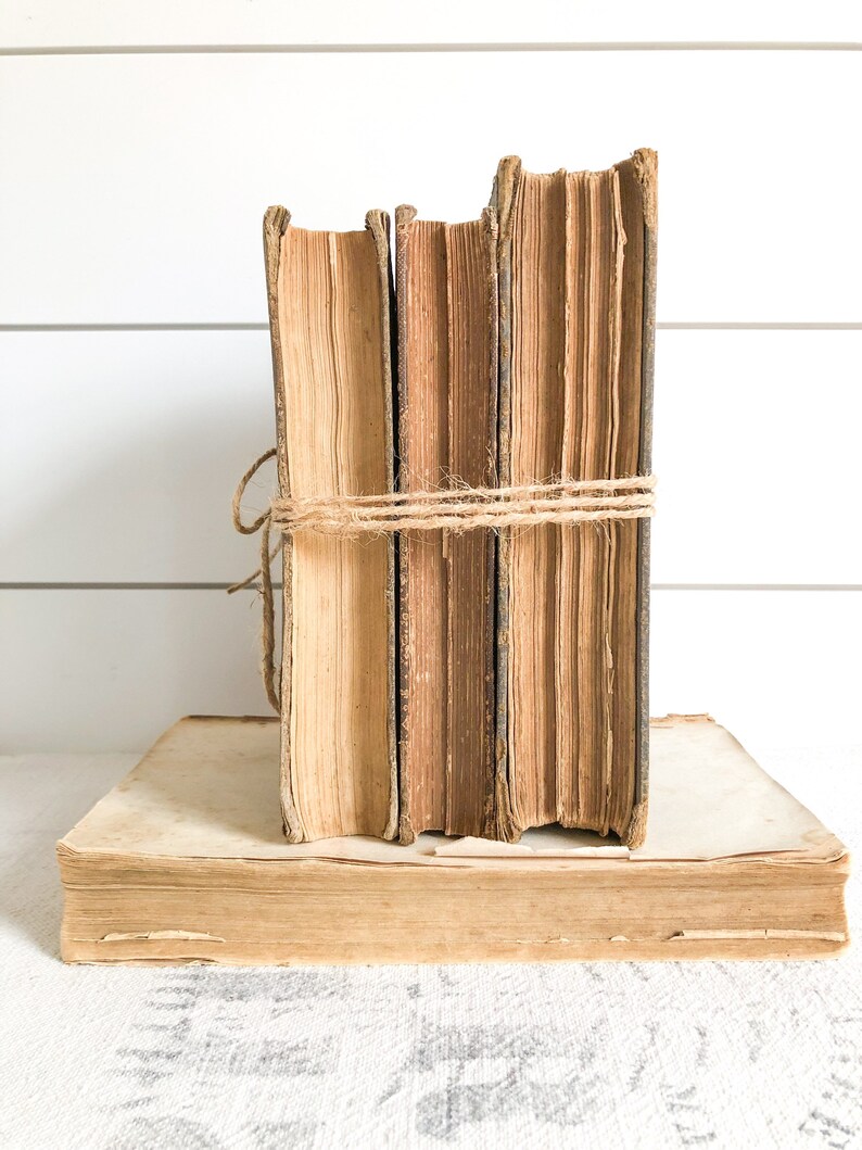 Antique Book Bundle Set; Deconstructed Decorative Book Set; Book Stack Decor; Antique Cookbook, Fashion, Facts, Home Remedies image 7