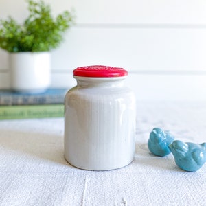 Puede incluir: Un pequeño tarro de cerámica blanquecina con una tapa roja brillante. El tarro tiene forma cilíndrica y una superficie texturizada. Dos pequeñas figuras de pájaros de cerámica turquesa están junto al tarro. Un pequeño jarrón blanco con vegetación está en el fondo.