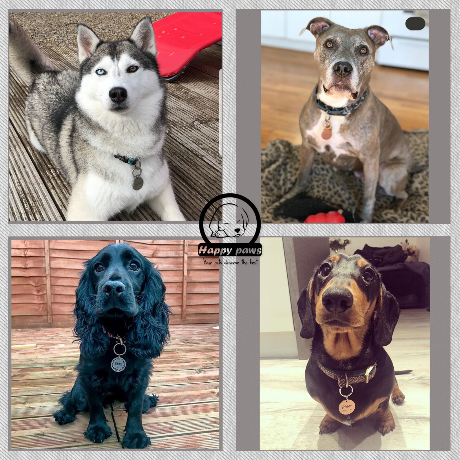 Boxing Glove Dog Tags Personalized Pet Tag for Dogs Pet Etsy