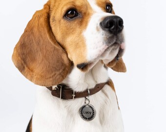 Metallic Custom Dog Collar PU Leather for Beagle Terrier Puppies XS S M L 