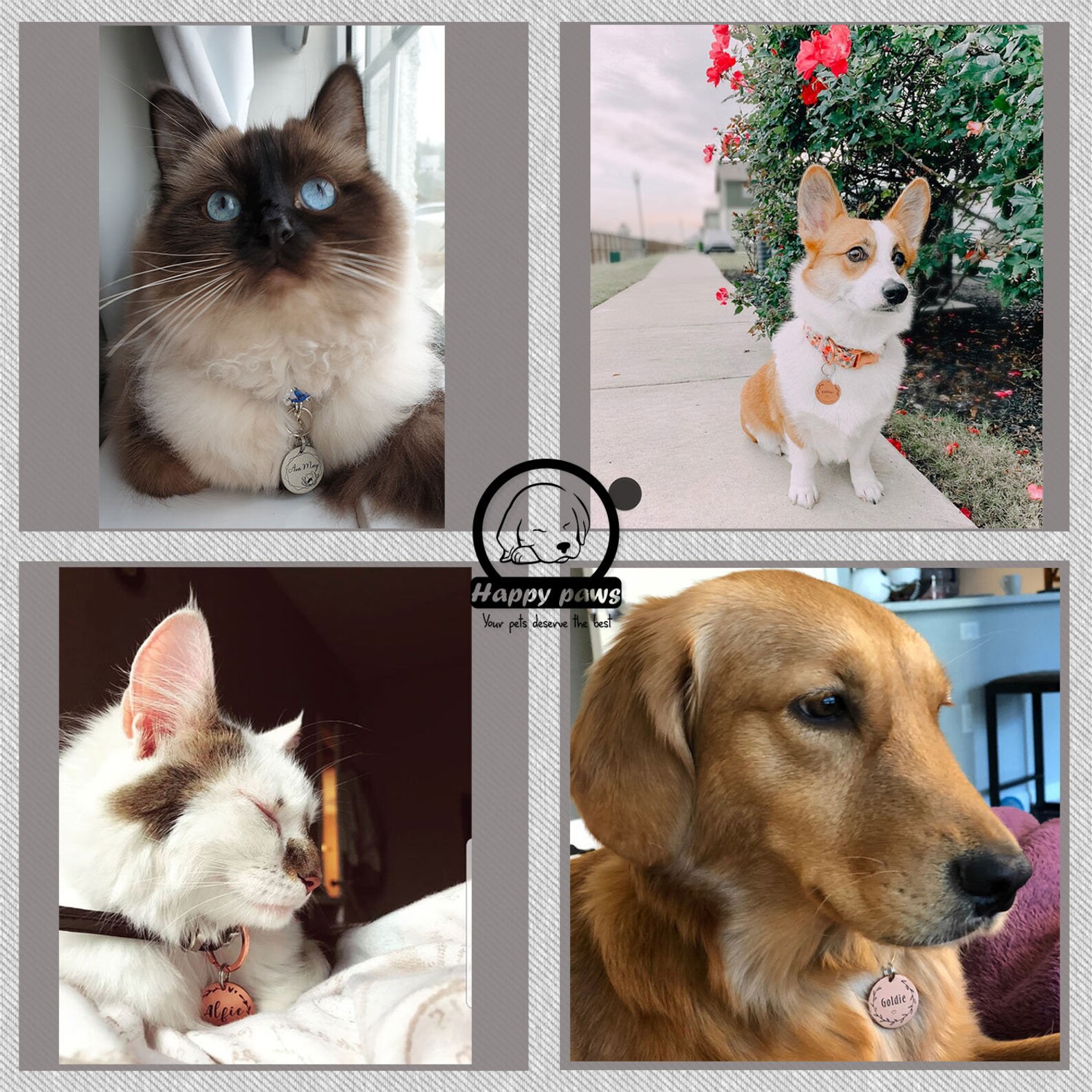 Boxing Glove Dog Tags Personalized Pet Tag for Dogs Pet Etsy