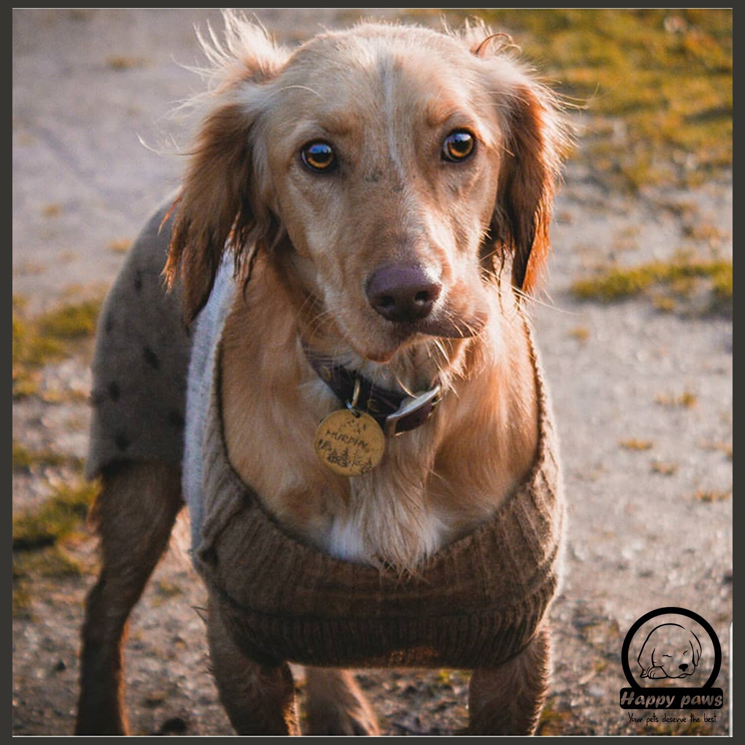 Boxing Glove Dog Tags Personalized Pet Tag for Dogs Pet Etsy