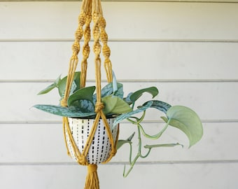 Spiral Plant Hanger