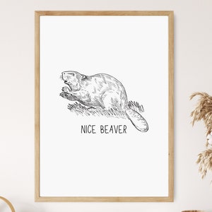 Nice Beaver -  UK