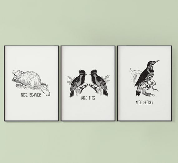 Nice Tits, Nice Pecker, Nice Beaver Bathroom Print Set of 3