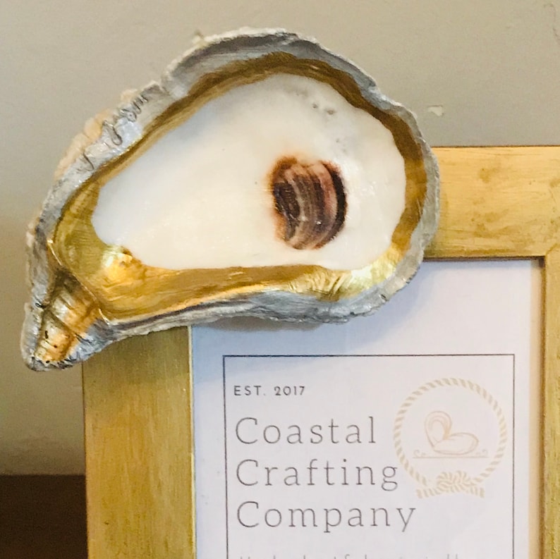 sea theme decor Oyster shell picture frame