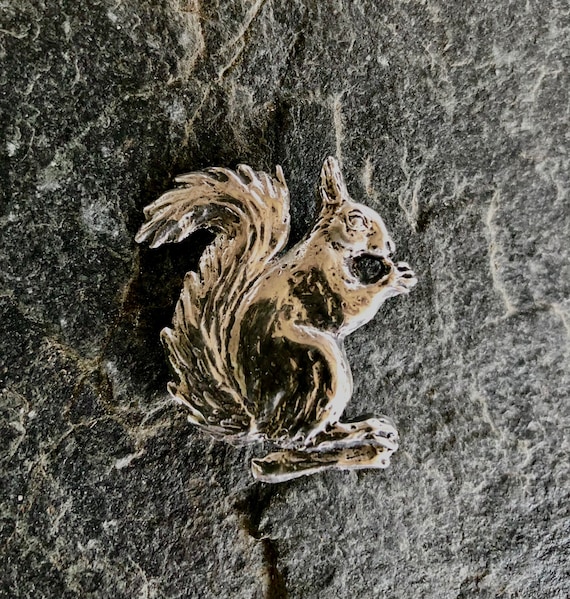 Red Squirrel Brooch in Pewter Etsy Australia