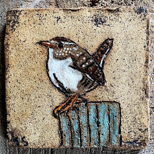 Könnte beinhalten: Ein brauner und weißer Vogel mit braunen Flecken, der auf einem blauen und braunen Holzpfosten sitzt. Der Vogel hat einen langen, dünnen Schnabel und einen kurzen Schwanz. Der Pfosten ist aus Holz und hat eine raue Textur.