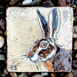 Puede incluir: Un azulejo de cerámica con una ilustración pintada a mano de un conejo marrón y blanco con la nariz negra y los ojos marrones. La cabeza del conejo está girada hacia un lado y sus bigotes son visibles. El azulejo tiene un fondo beige con un borde marrón.