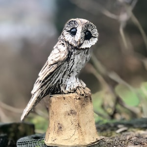 Uilensculptuur in keramiek van Paul Szeiler afbeelding 1