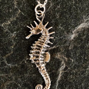 Seahorse pendant / necklace in sterling silver.