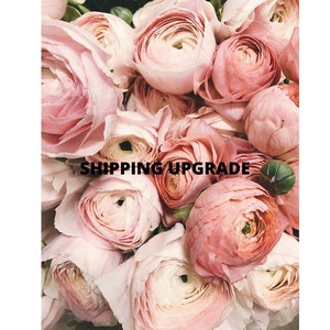 UK Versand Upgrade für Royal Mail Tracked 24 signiert & am nächsten Tag spezielle Lieferung