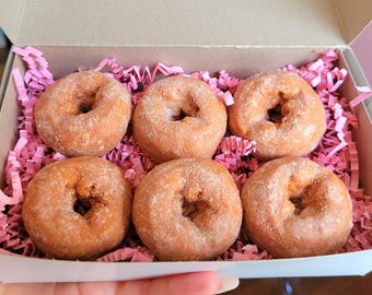 Apple Cider Donut scented wax melts 5oz // realistic fake food wax melts // fall dessert scented wax melts // autumn home decor