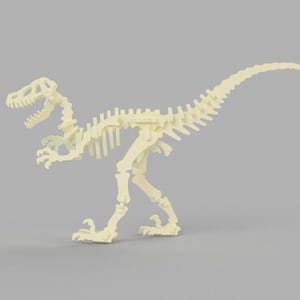 Dinosaur Velociraptor skeleton 3D model 3D puzzle SVG Vector Digital files digital file template cnc dinosaur pattern 3, 4, 6, 8, 10 mm.