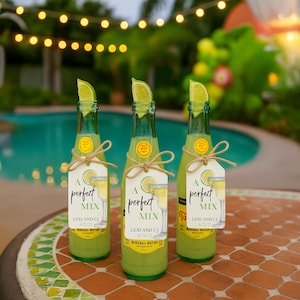 Editable Margarita A Perfect Mix Wedding Favor Tag | Printable Couple Shower Easy Bridal Shower Fiesta Party| DIY Taco Instant Download 2804