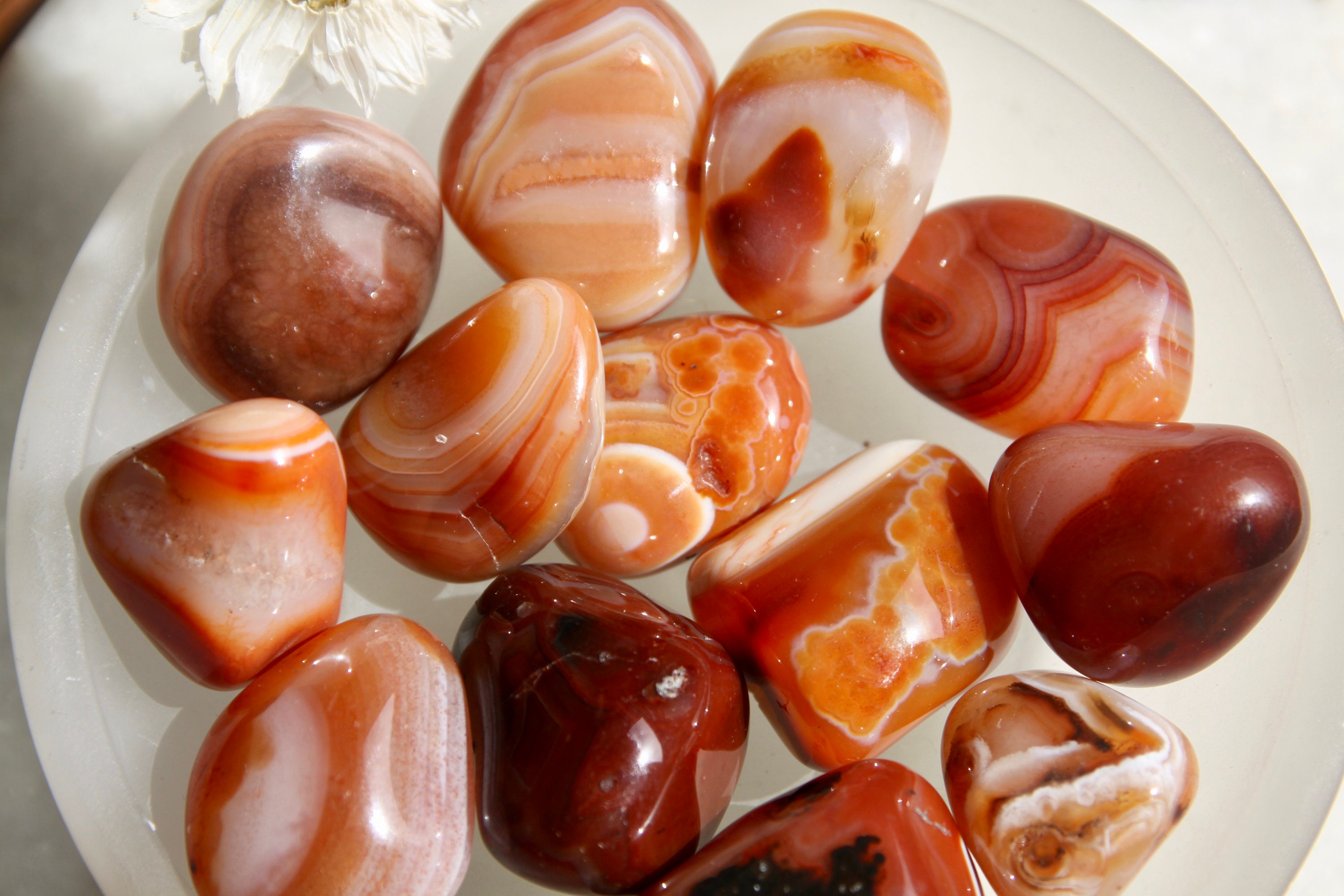 Cornaline Bandée Qualité A/Lithothérapie Apaisement et Vitalité