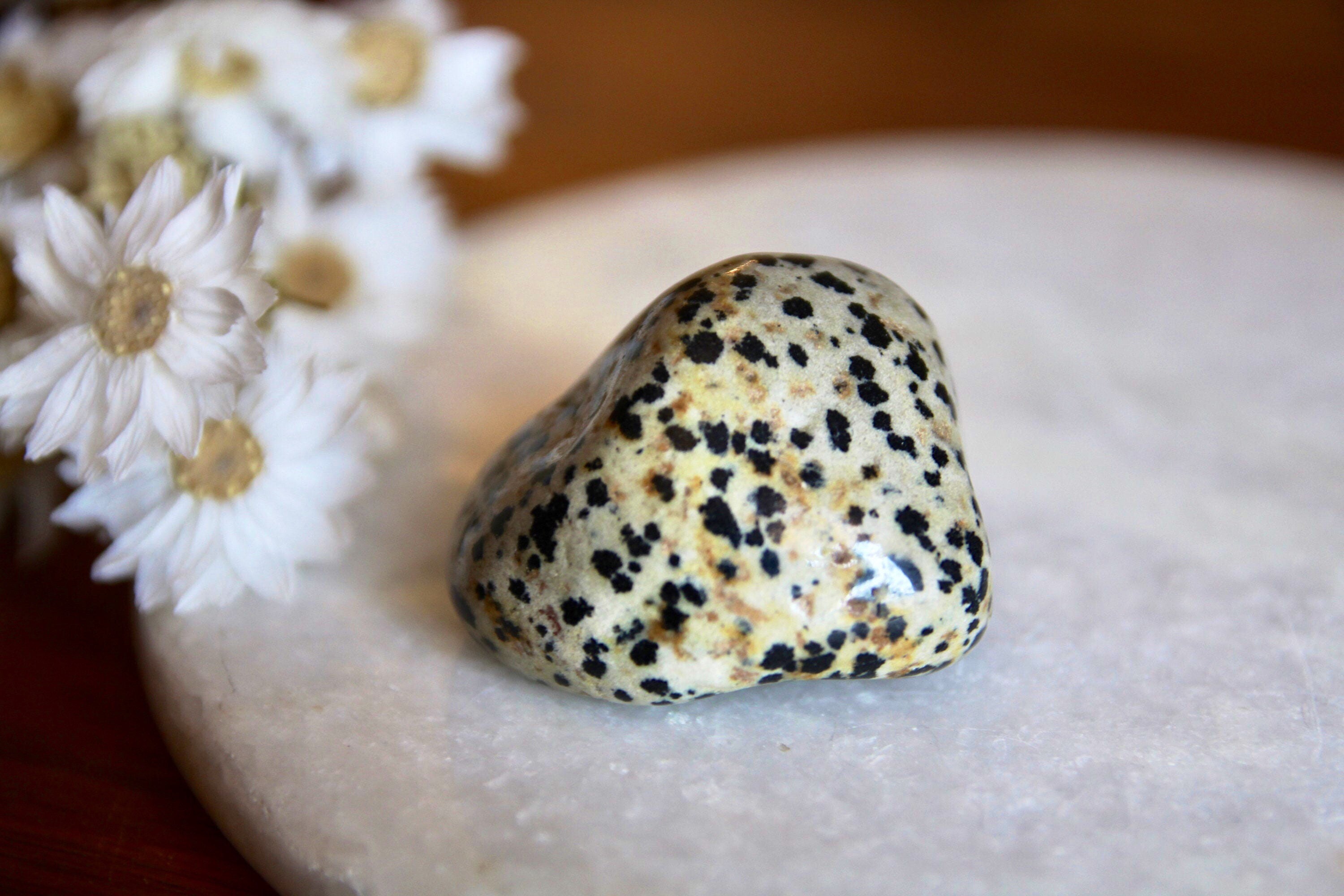 Galet Jaspe Dalmatien Pierre Roulée - Lithothérapie Réflexion et Apprentissage