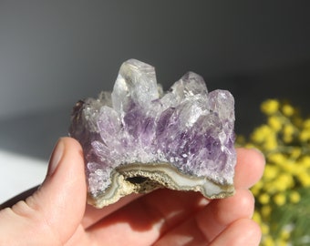 Amethyst-Geode - Amethyst-Druse Qualität A - Amethyst Uruguay