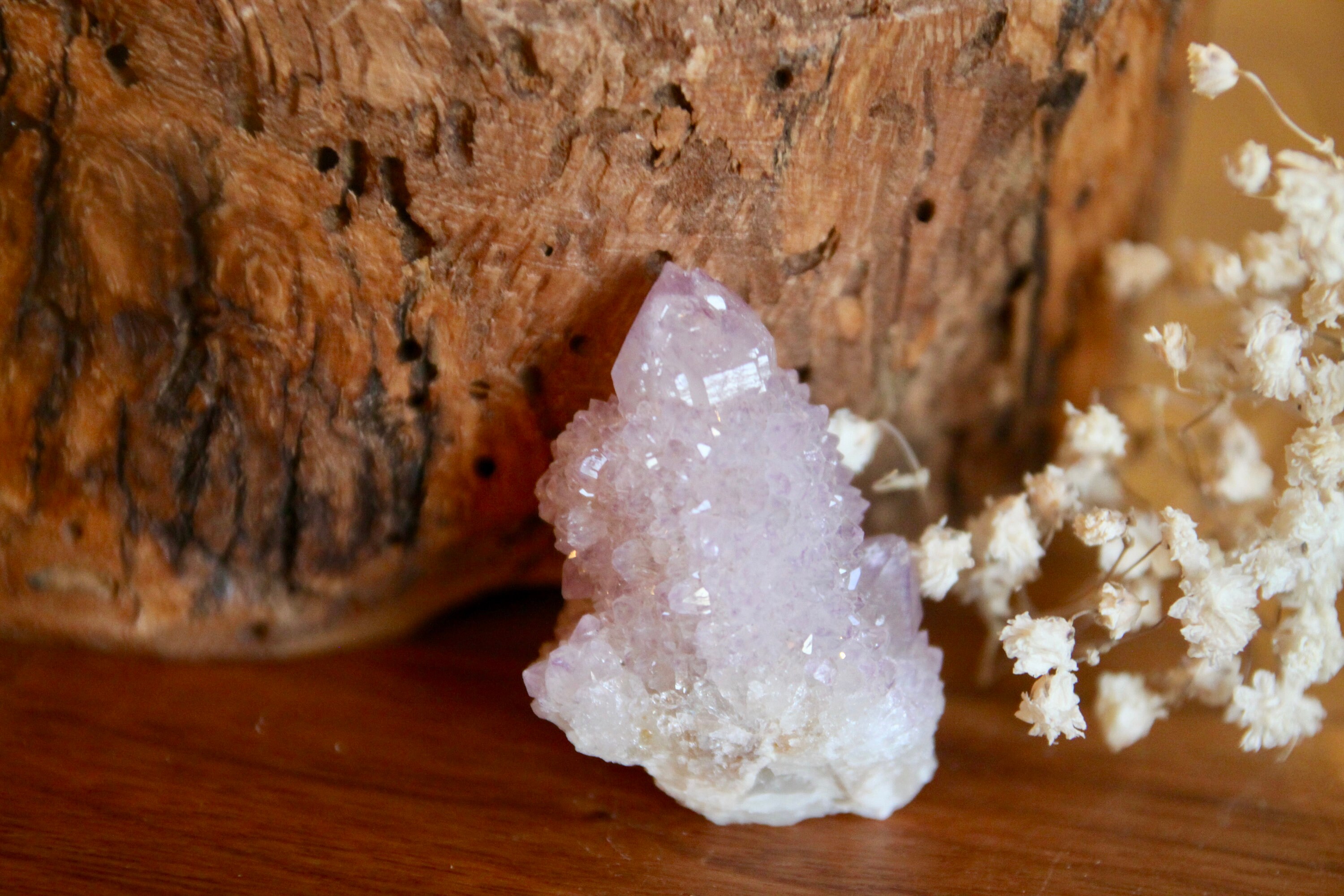 Pointe d'améthyste Cactus