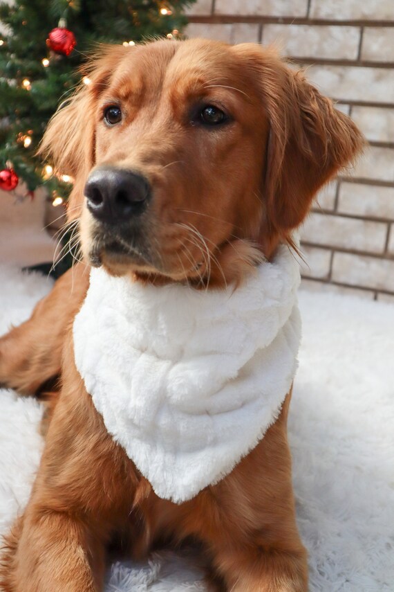 Snow Angel Bandana Winter Dog cat Bandana Snap on Dog Bandana Pet