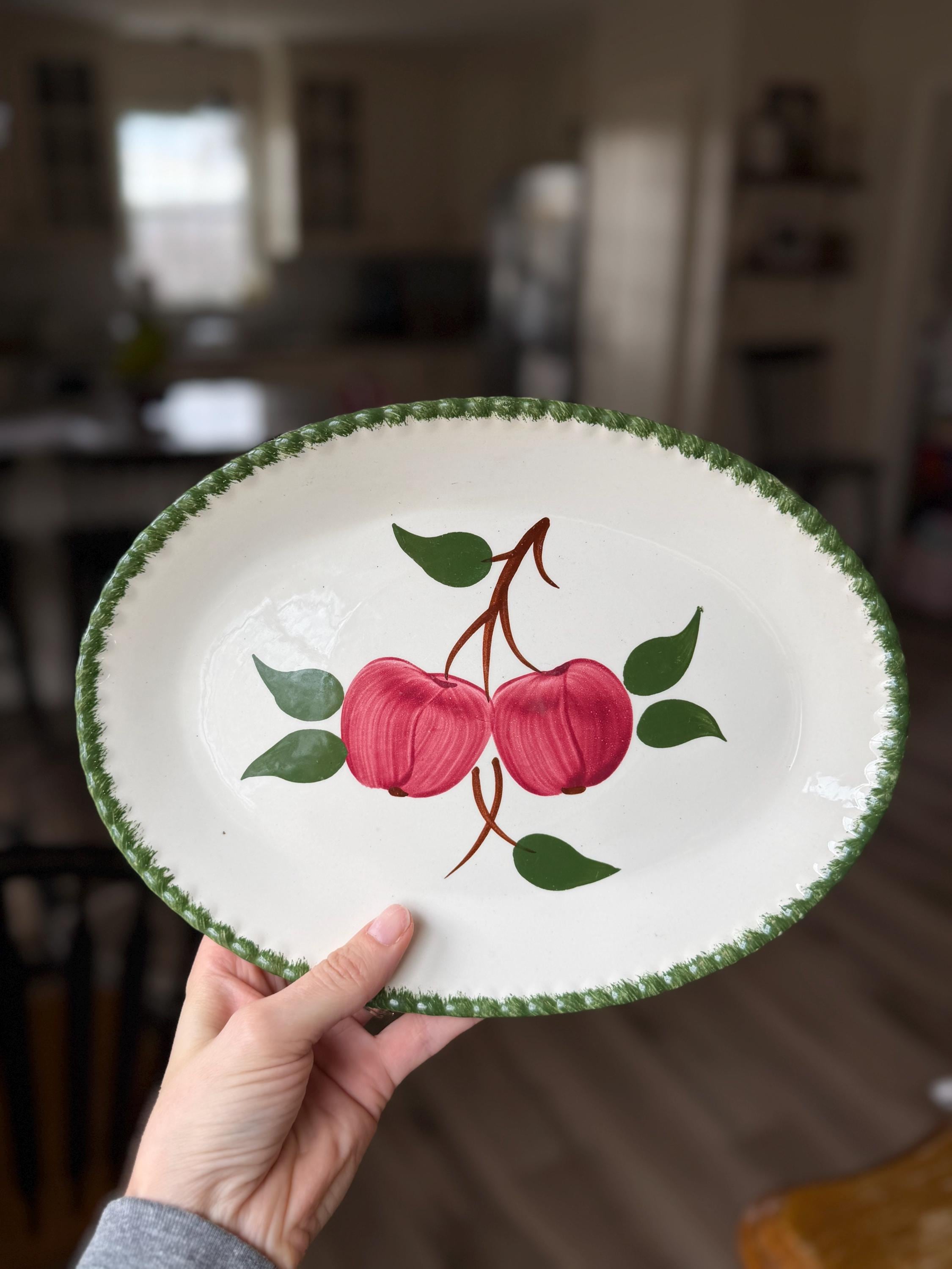 Vintage Oval Apple Plates, Blue Ridge Southern Pottery “quaker Apple ...