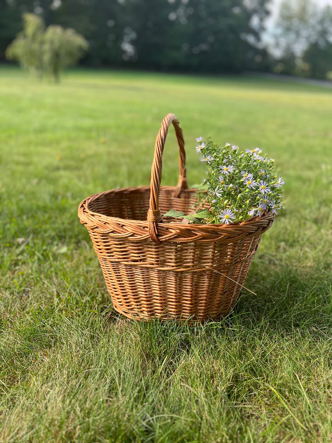Large Vintage Gathering Basket, Large Vintage Basket With Handle
