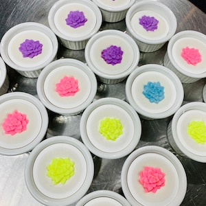 Farm Fresh Dish Soap | Sustainable Living | Plastic Free | Super Cleansing | Environment Friendly bild 7