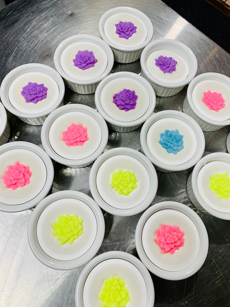 Farm Fresh Dish Soap | Sustainable Living | Plastic Free | Super Cleansing | Environment Friendly bild 7