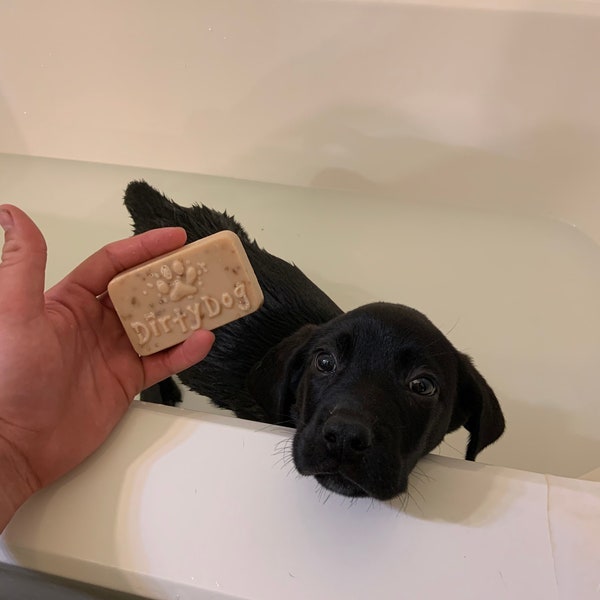 Dirty Dog Shampoo Bar | Pet Soap | Natural Oatmeal Handmade Soap | Goat Milk Pet Shampoo