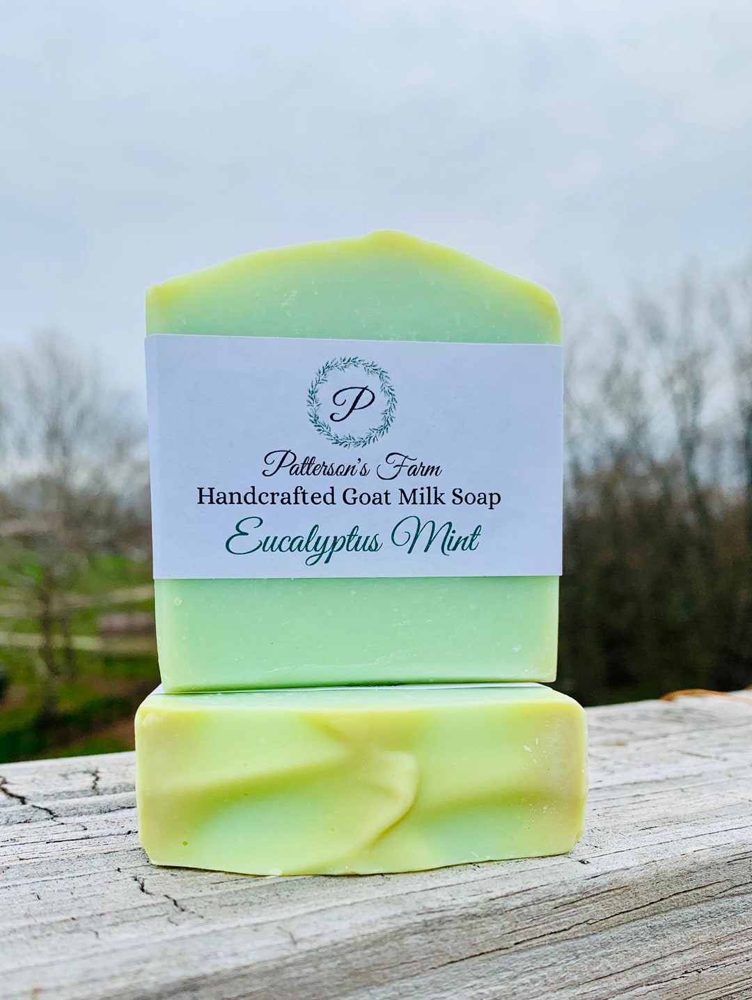 Eucalyptus Mint Goat Milk Soap: Handcrafted Herbal Soap - Etsy