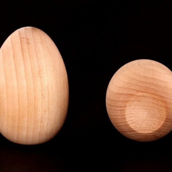 Large wooden eggs, Wood Goose egg, Goose eggs size, Use as pretend eggs - Easter decor United States
