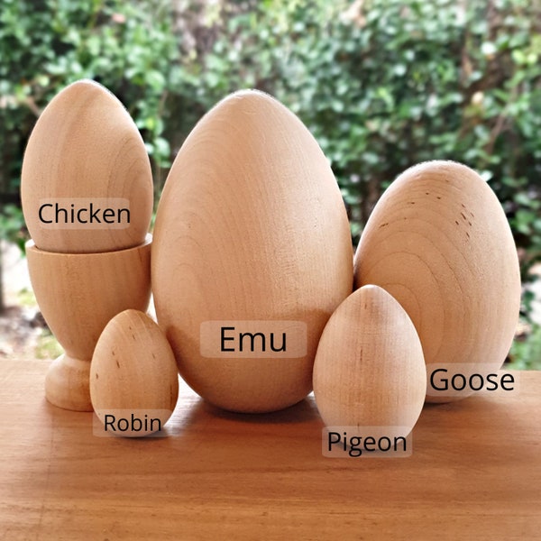 5 different sized wooden eggs plus regular egg cup. Emu, Goose, Chicken, Pigeon, Robin egg sizes and hen egg cup. Montessori - Waldorf play