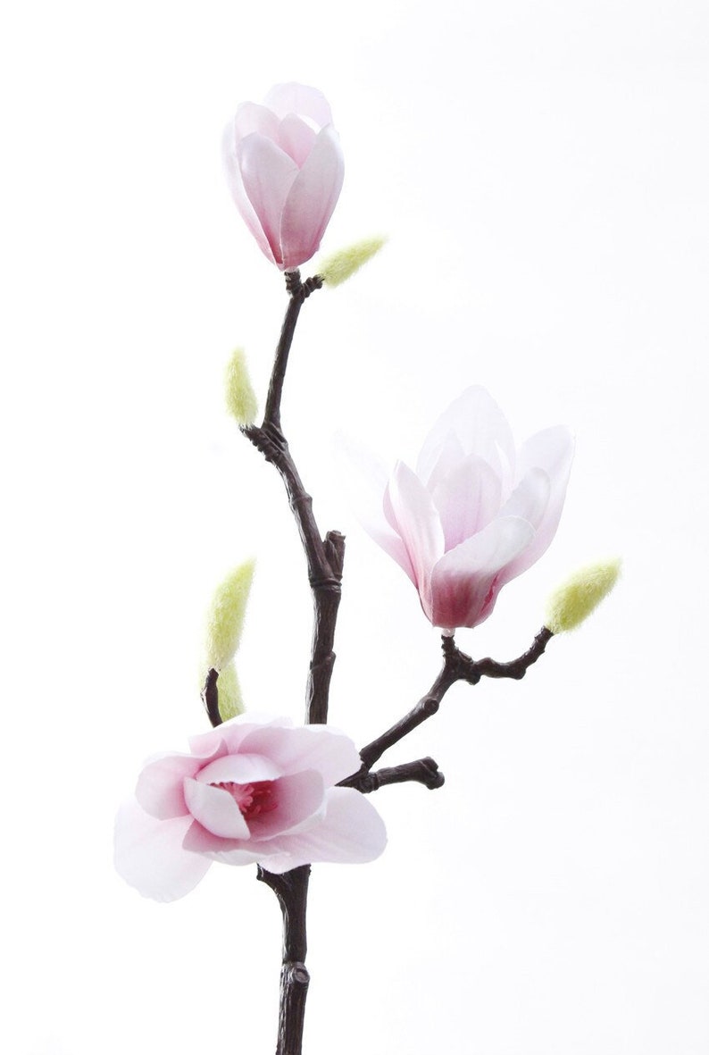 35 OFF 3D Silk Magnolia Branch Artificial Flowers High Etsy