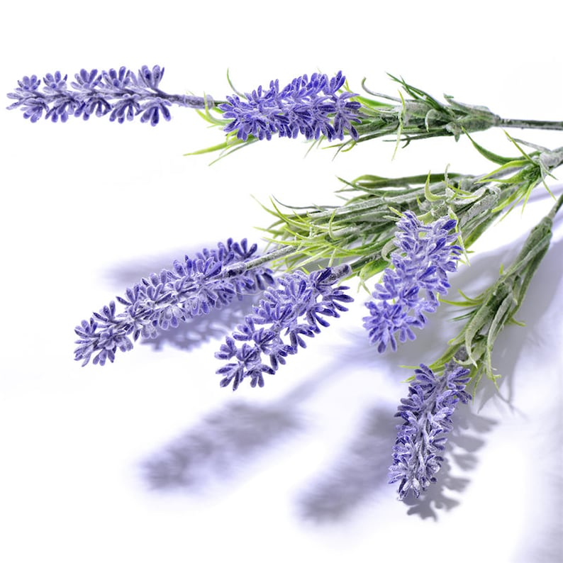 Home Decal Artificial Flower 7 ForksBranches Artificial Lavender Flower For Wedding Party Home Festival Decoration