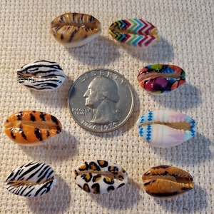 May include: A collection of painted cowrie shells with various patterns, including zebra stripes, leopard spots, and colorful geometric designs. A US quarter is included for size reference. The shells are arranged on a textured, neutral-colored surface.