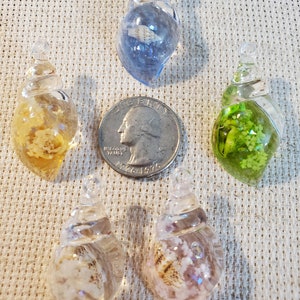 May include: Five clear resin seashell pendants, each with a unique interior design. One pendant has a blue hue, another yellow, and a third green. Two pendants feature white and brown shell fragments. A U.S. quarter is included for size reference.