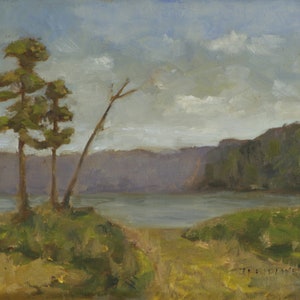 Original Landscape Oil Painting - 8x10 - Trees at the Lake